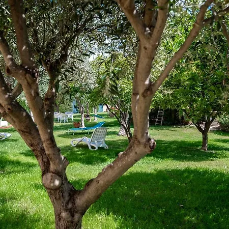 Appartamento Del Papiro *