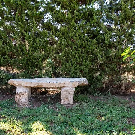 Del Papiro Avola
