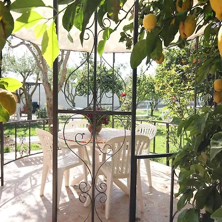 Hotel Del Papiro